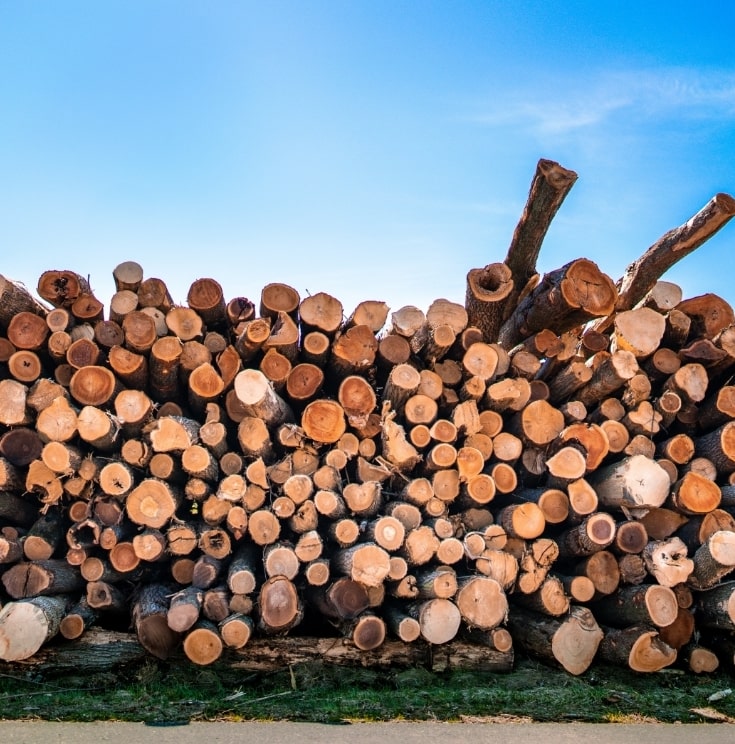 Boxed Logs - Logs