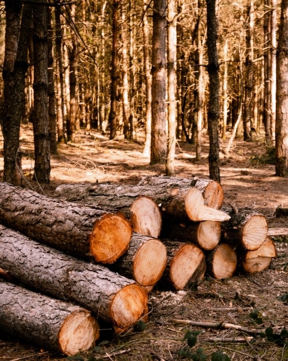 Boxed Logs - Logs