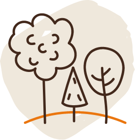  forest restoration