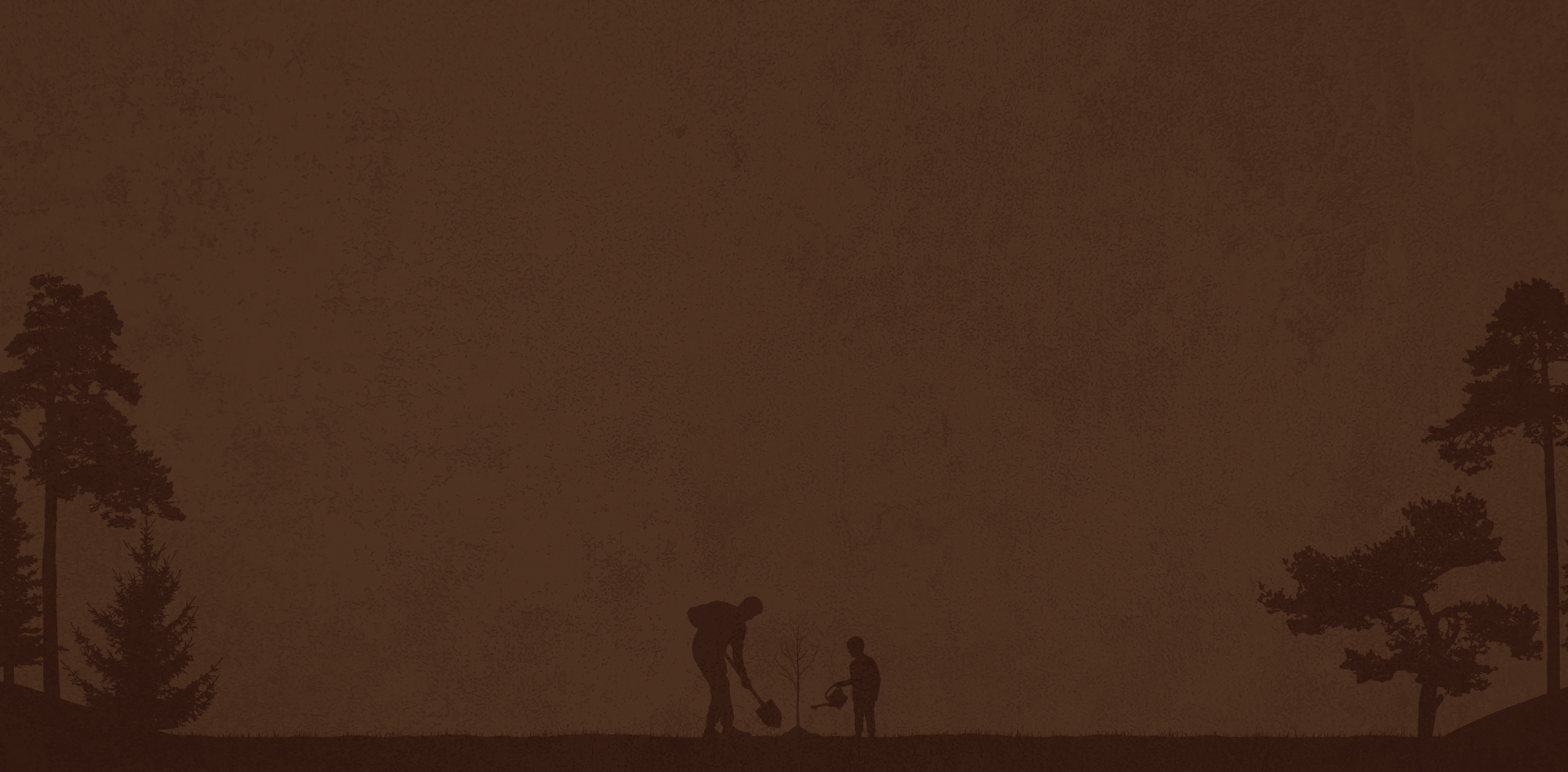 Promise Bg Min